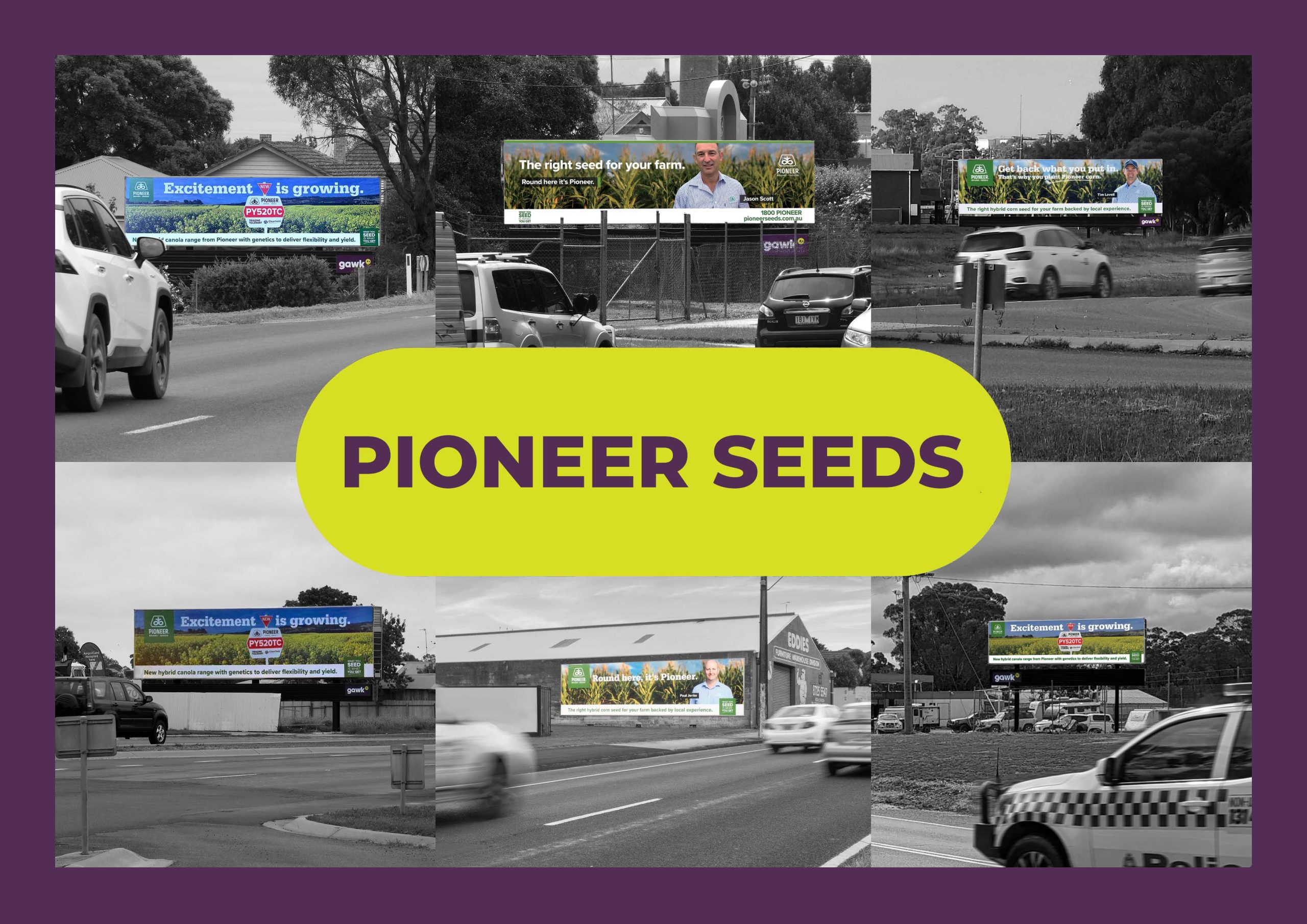 Pioneer Seeds (2022) Gawk Outdoor